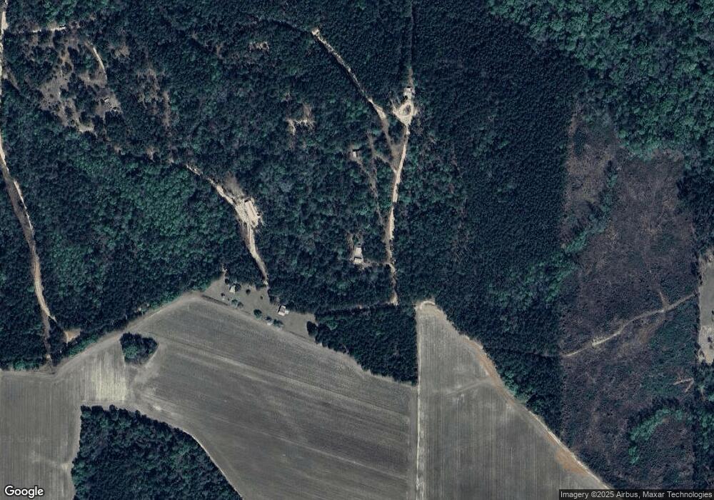 359 Cabin Trail, Surrency, GA 31563 - photo 1