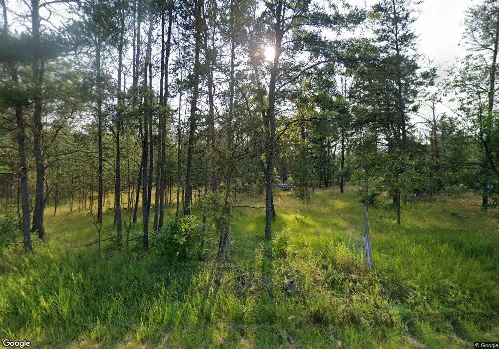 9359 S Forman Rd, Idlewild, MI 49642 - photo 1