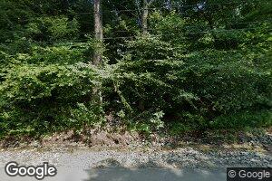 87 Grassy Brook Rd, Brookline, VT 05345