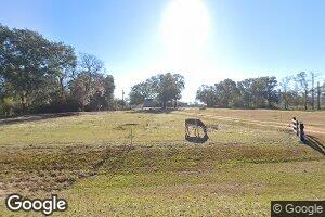1126 Wilkie Mosley Rd, Blakely, GA 39823