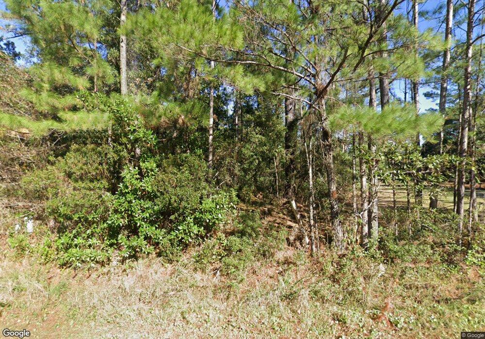 1285 Swamp Rd SE, Townsend, GA 31331 - photo 1