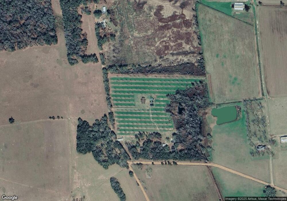 1438 Nugent Horton Rd, Alapaha, GA 31622 - photo 1