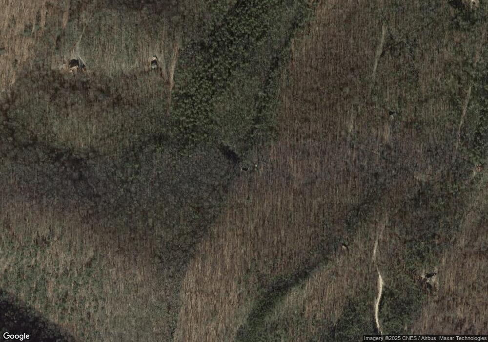 151 Sassafras Trail, Franklin, WV 26807 - photo 1