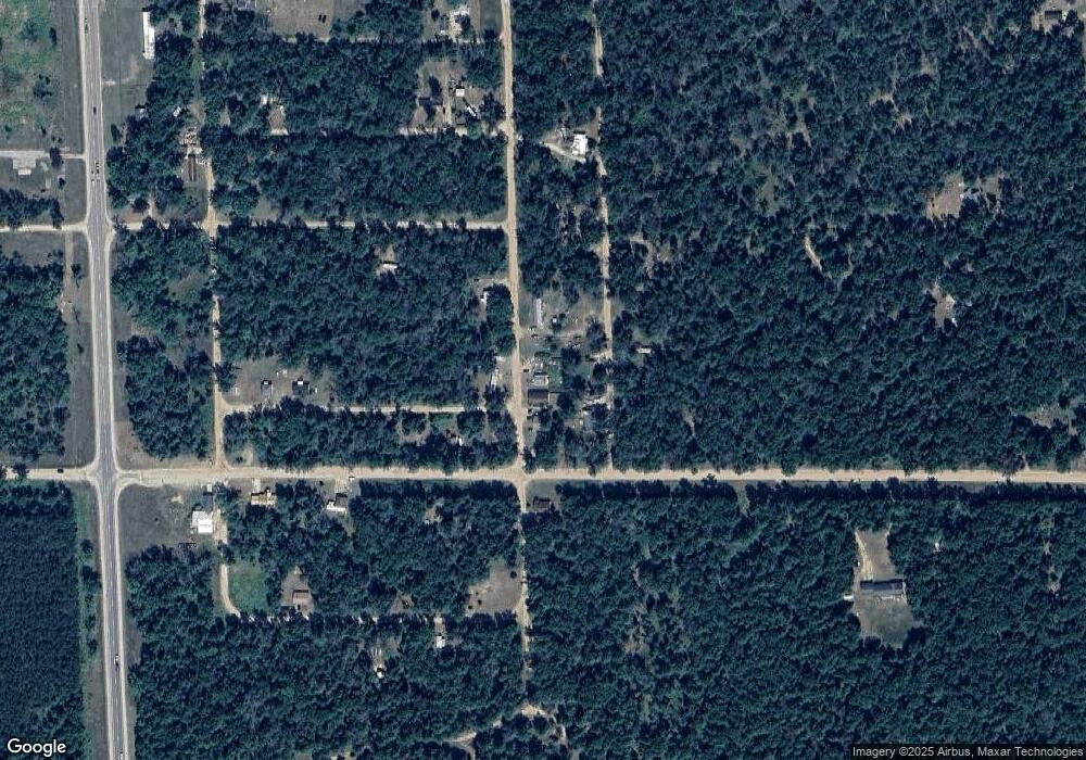 4451 S Guthrie Blvd, Baldwin, MI 49304 - photo 1