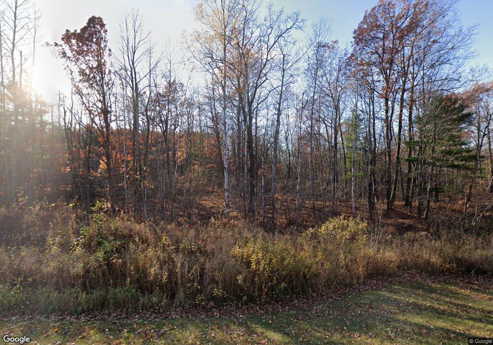 N1769 County Hwy W, Weyerhaeuser, WI 54895 - photo 1