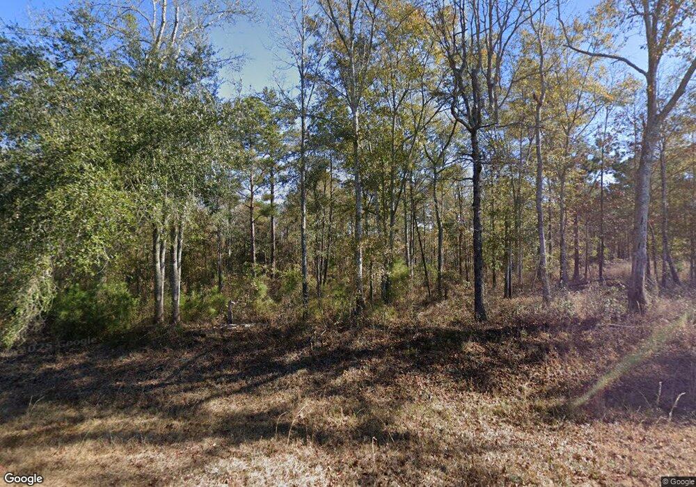 851 Maxwell Rd, Whigham, GA 39897 - photo 1