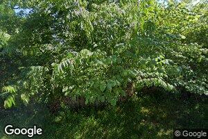 310 W 2nd St, Calhoun, MO 65323