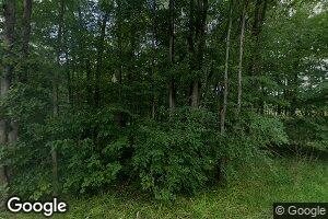 10105 Robbins Rd, Springport, MI 49284