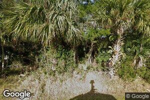 Elderberry, Palm Coast, FL 32164