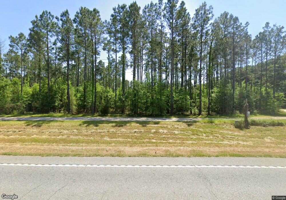 1316 Ga Highway 91 N, Colquitt, GA 39837 - photo 1
