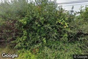 1309 34th St, Seaview, WA 98644