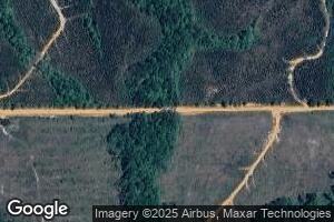 245 E Gafford Rd, Greenville, AL 36037