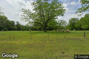 17379 Lapine Hwy, Grady, AL 36036