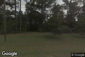84031 Ridgeview Dr, Folsom, LA 70437
