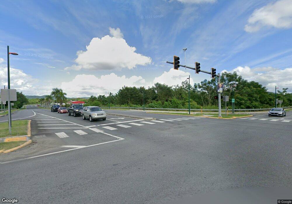 PR 788 Barrio Tomas de Castro Caguas Puerto Rico, Caguas, PR 00725 - photo 1