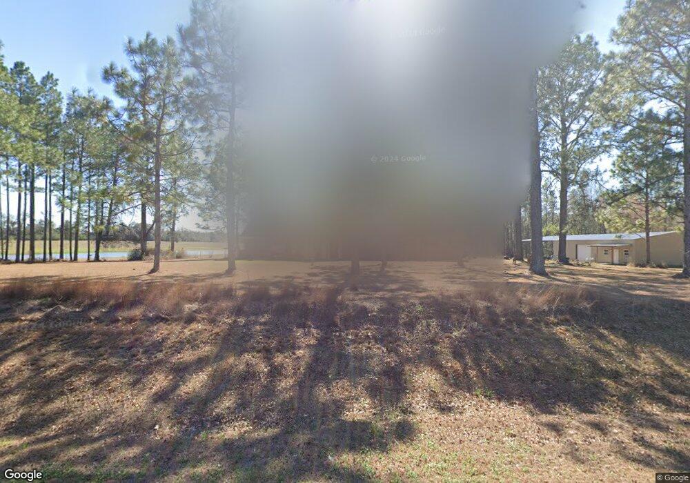 3184 County Line Rd E, Pelham, GA 31779 - photo 1