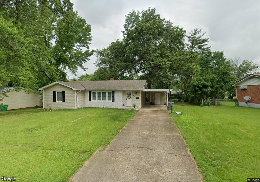 319 Laura St, Farmington, MO 63640 - photo 1