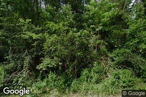 9679 County Road 24, Eldridge, AL 35554