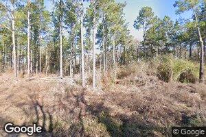 4510 Ga Highway 33 S, Doerun, GA 31744