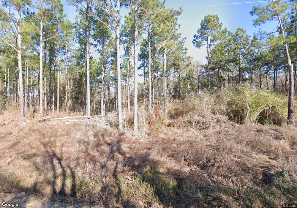 4510 Ga Highway 33 S, Doerun, GA 31744 - photo 1