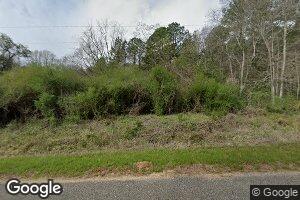 31311 Rose Hill Rd, Dozier, AL 36028