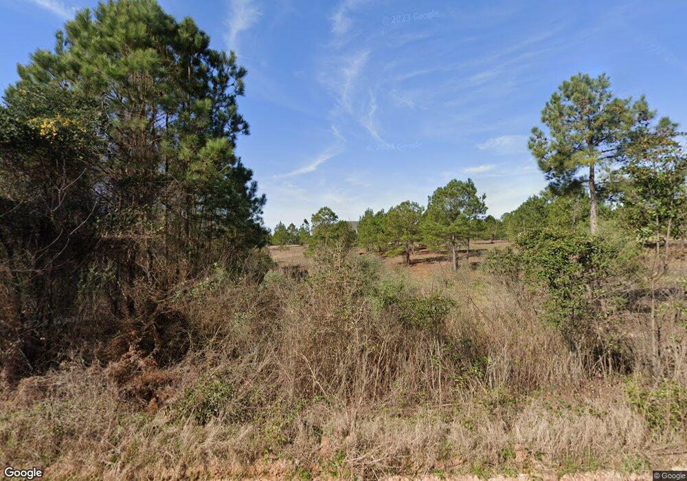 859 Carrol Willis Rd, Lenox, GA 31637 - photo 1