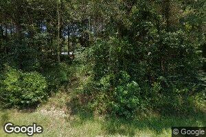 1 County Road 293, Bay Springs, MS 39422