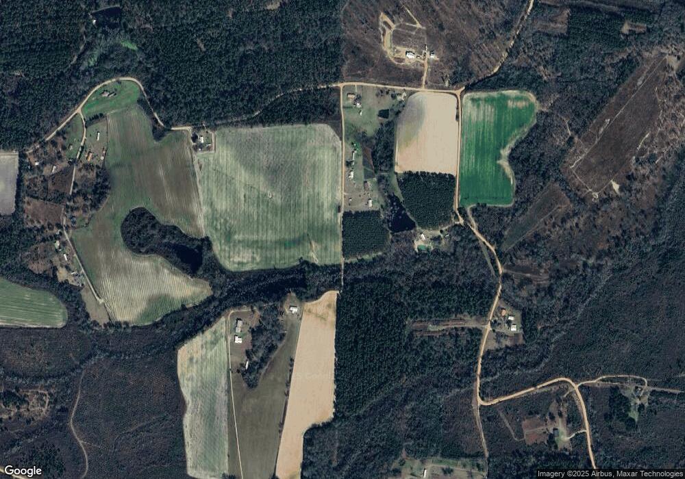 910 Ole Henry Trailer Park Ln, Axson, GA 31624 - photo 1