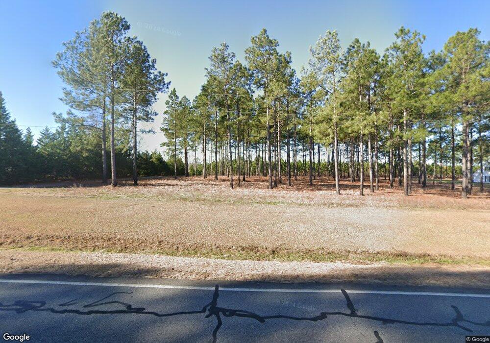 384 Us Highway 221 S, Mount Vernon, GA 30445 - photo 1