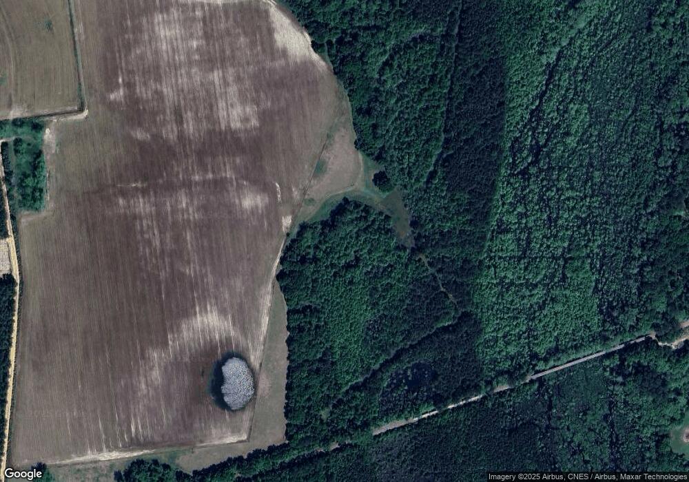 1550 Foster Williams Rd, Register, GA 30452 - photo 1