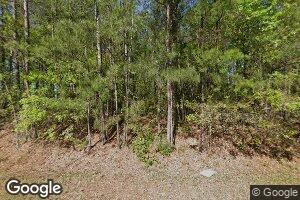 2461 Marion-Ripley Rd, Dry Branch, GA 31020