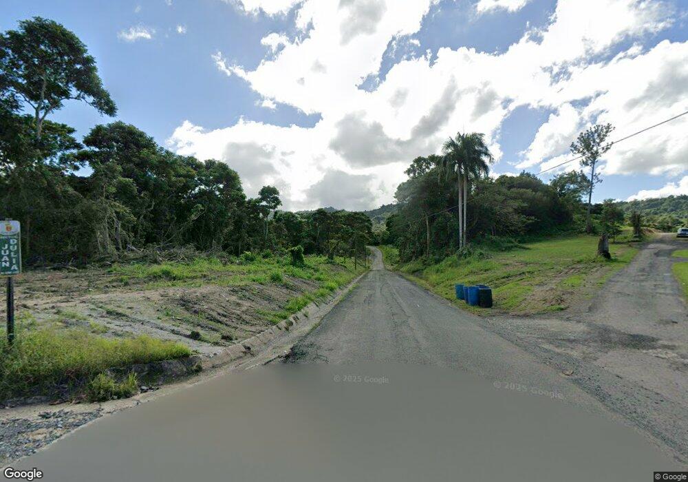 PR-916 R Camino Juan Dulia, San Lorenzo, PR 00754 - photo 1
