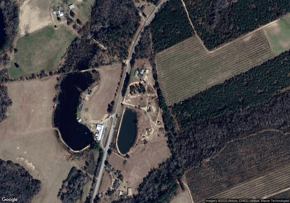 10022 Ga Highway 121 N, Twin City, GA 30471 - photo 1