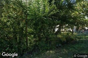 8 Chicago St, Alvin, IL 61811