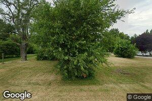 229 N Vine St, Moweaqua, IL 62550