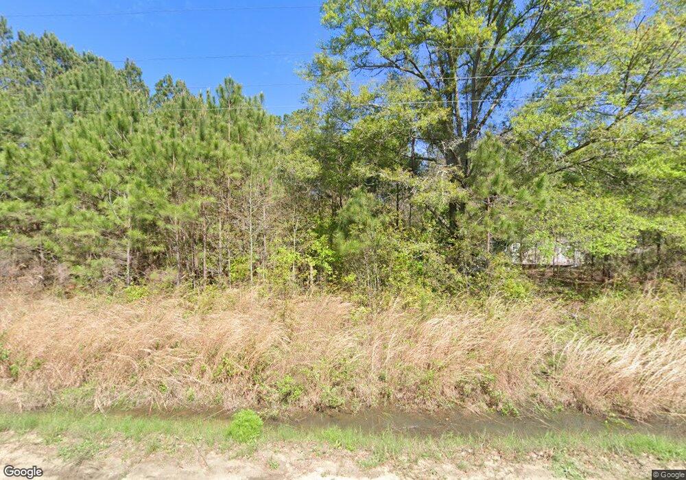 208 Smokey Wood Ln, Adel, GA 31620 - photo 1