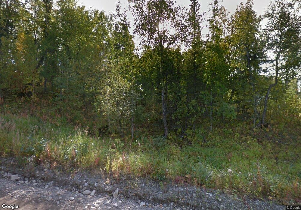 17816 E Twin Hills Ln, Chickaloon, AK 99674 - photo 1