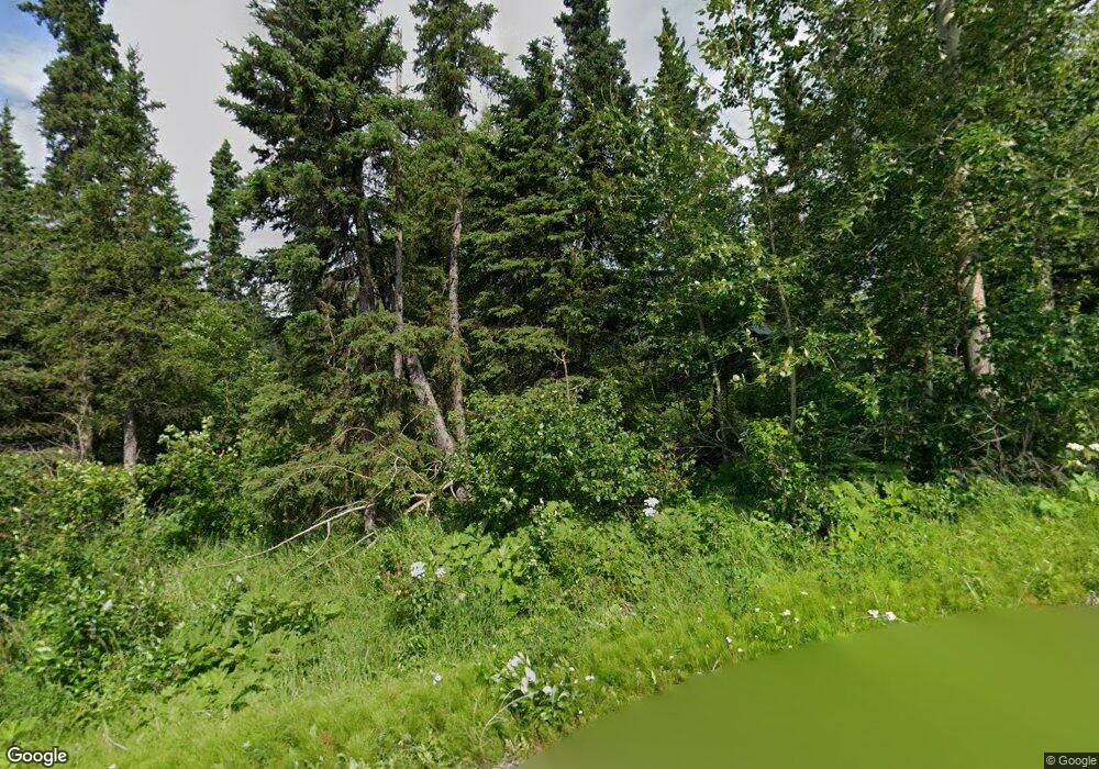 16600 Ransom Ridge Rd, Anchorage, AK 99516 - photo 1