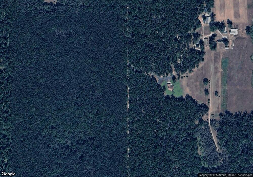 10101 N Centerline Rd, Bitely, MI 49309 - photo 1