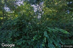 8551 Sterling Rd, Litchfield, MI 49252