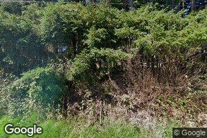 56851 Hazen Rd, Warren, OR 97053