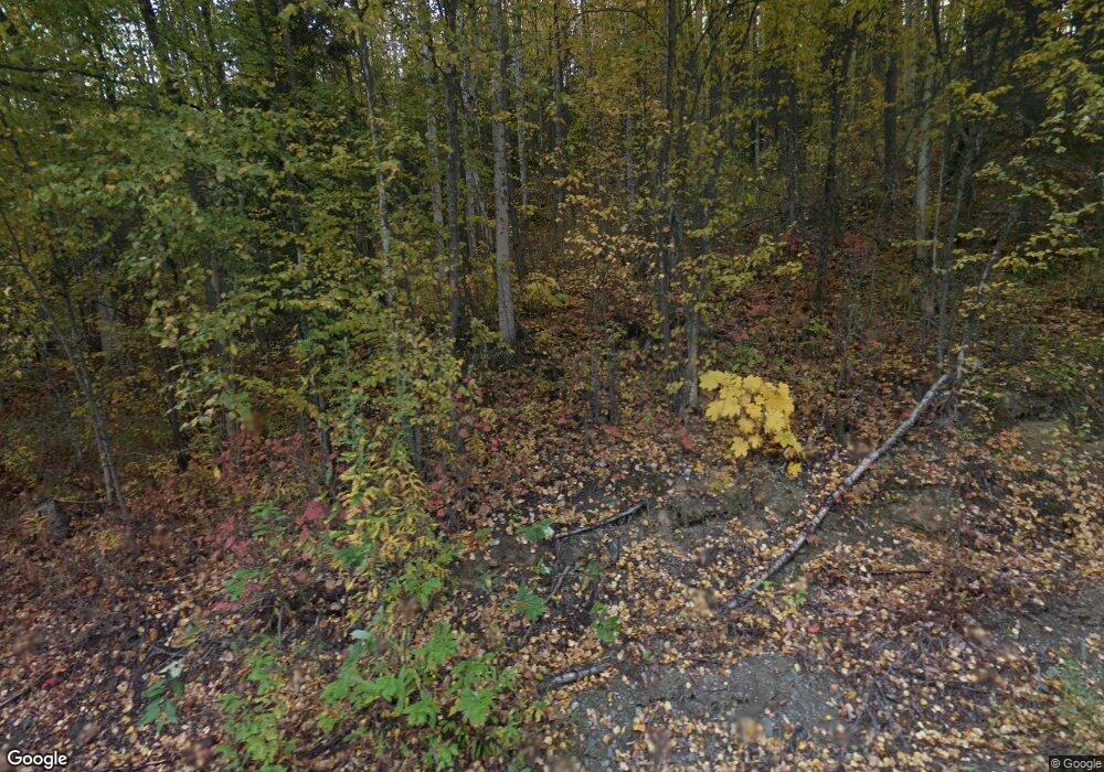 18487 W Bryant Rd, Big Lake, AK 99654 - photo 1