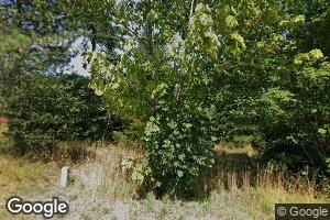 26874 Alsea Deadwood Hwy, Alsea, OR 97324