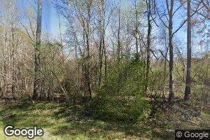 17384 Old River Rd, Garfield, GA 30425