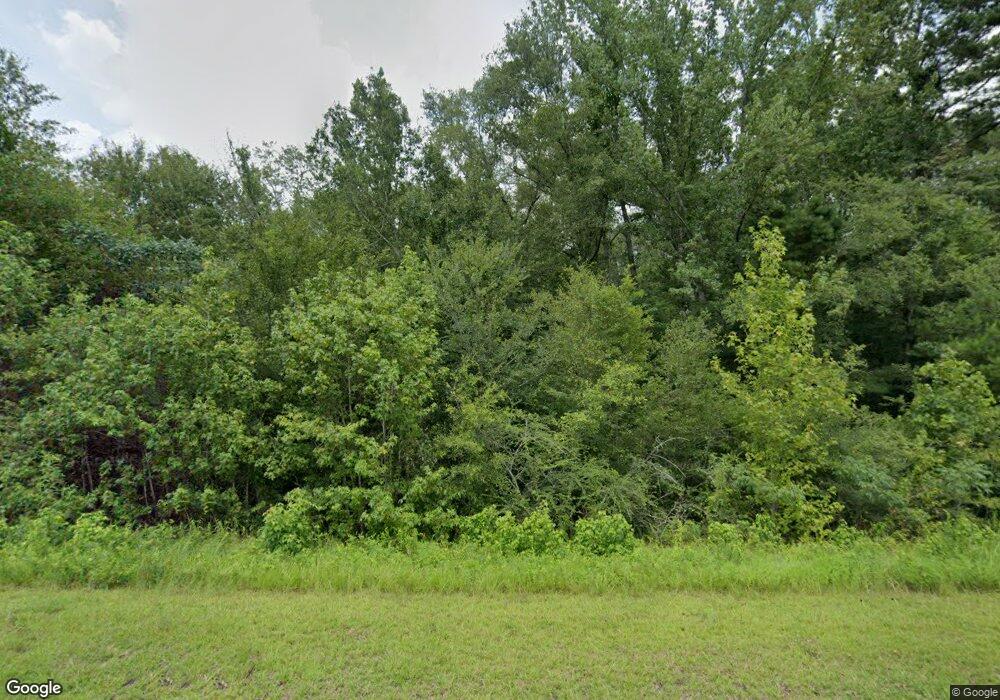 2153 River Ridge Rd, Summit, MS 39666 - photo 1