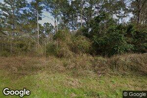 154 Gaines Bouie Rd, Attapulgus, GA 39815