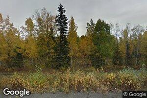 61561 S Parks Hwy, Willow, AK 99688