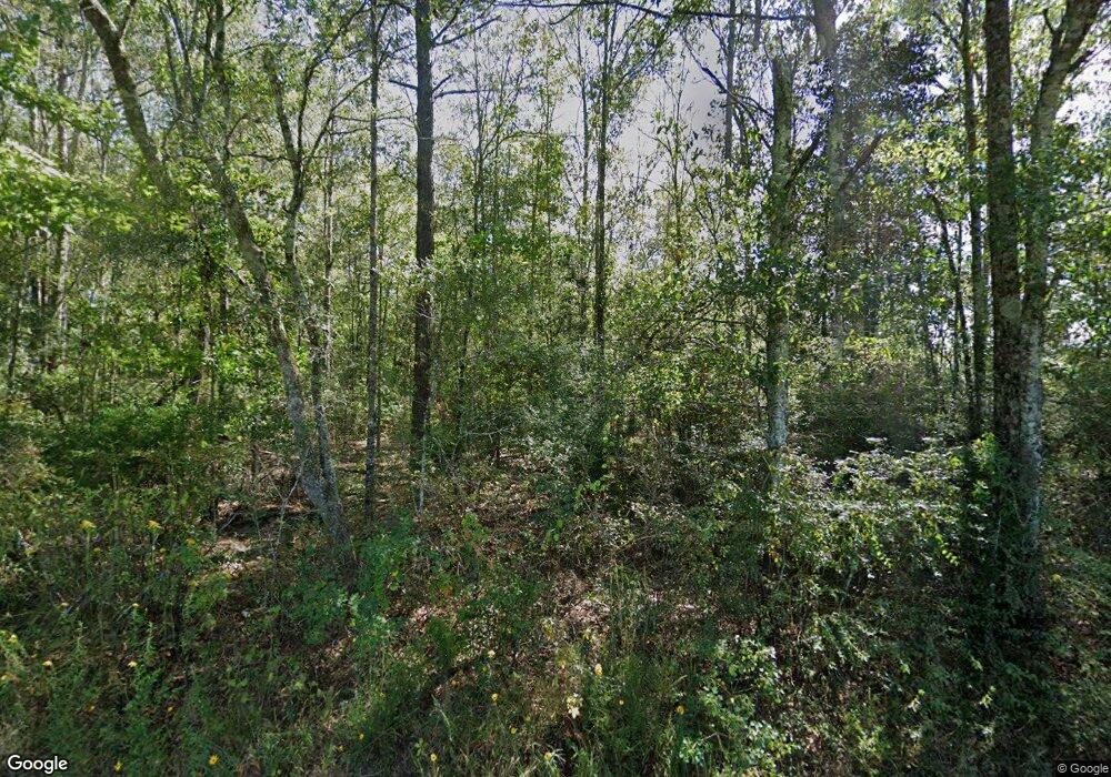 77 Walkiah Bluff Rd, Picayune, MS 39466 - photo 1