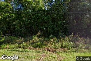 1461 Bell Dr, Axis, AL 36505