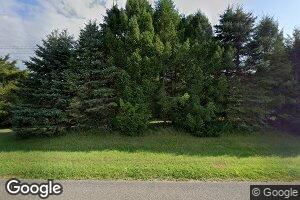2919 E Sugar Grove Rd, Custer, MI 49405